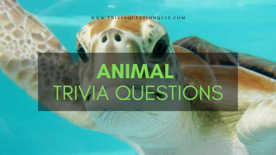 30 Animal Trivia Questions MCQ Quiz For Knowledge And Skills Trivia Quiz