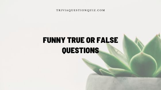 100 Funny True Or False Questions You Didn t Know Trivia Quiz