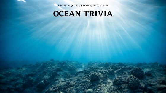 50 Useful Ocean Trivia Mcq Questions For General Knowledge Trivia Qq